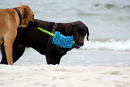 Dingo Mop Bungee Blau Mikrofaser mit Vanille Duft Ball Hundespielzeug Agility Apporte zum Spielen Tauziehen Beweglichkeit Wassertraining 15587-2