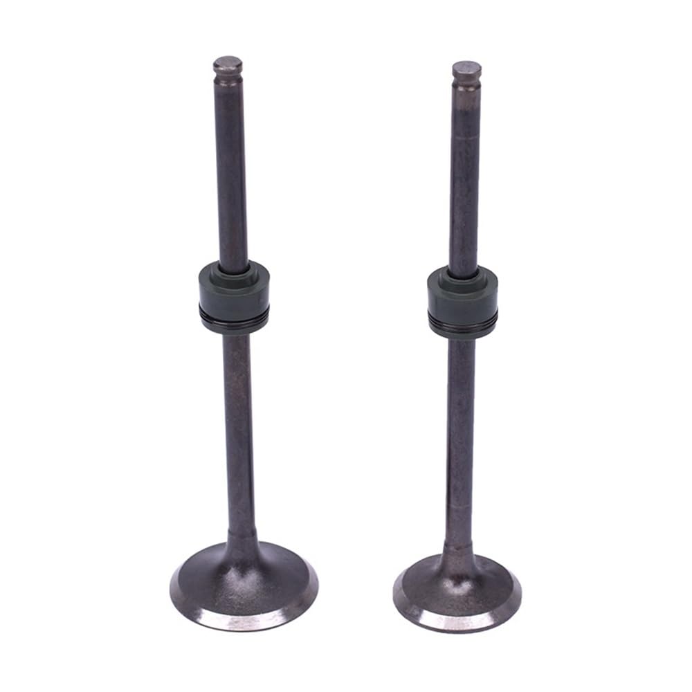 pist. Kit fasce elastiche pistone e stelo valvola for moto da 48,25 mm,5, adatti for FZ250, FZR250, ingresso uscita, omaggio .(48.25MM)