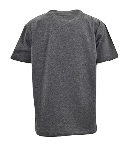 Image of Boys Short Sleeve Funny Graphic Tees for Toddler to Big Kid