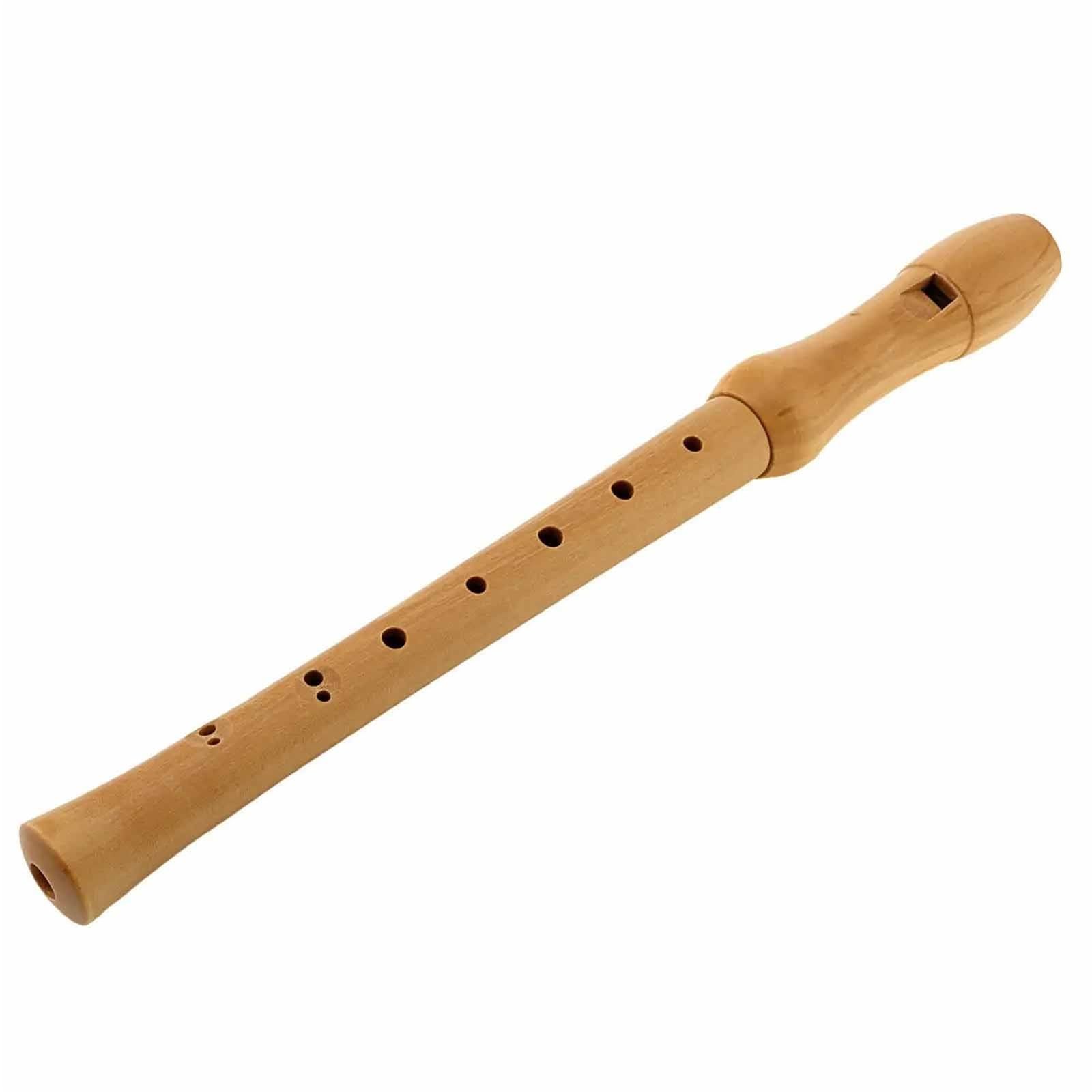 Principiante Flauto Dolce Flauto Dolce Soprano In Legno Massello Con Chiave C Custodia Rigida Strumenti A Fiato Staccabili In 2 Pezzi