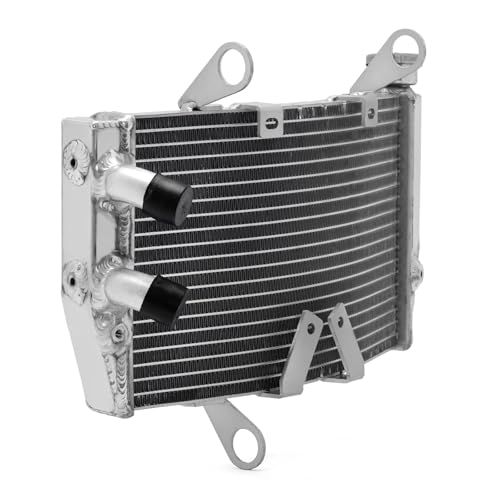 Engine Radiator Cooling For Hypermotard 950 19 20 21 22 23 RVE SP Water Cooler Aluminium Alloy Core Polished