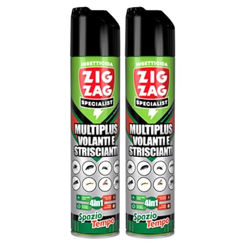 Zig Zag Insetticida Spray MULTINSETTO VOLANTI E STRISCIANTI, Spazio Tempo, Ad Azione Rapida Nello Spazio e Lunga Persistenza Nel Tempo. Formula Senz'Acqua, Non Bagna e Non Macchia 600ml (2 Spray)