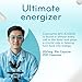Quick Absorption CoQ10 200mg - Coenzyme Q10 200mg Potent Antioxidant for Heart Energy and Aging Support - High Stability CoQ10 Ubiquinone Capsules - Made in a cGMP US Lab (200 Servings)