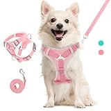 VavoPaw Arnés para Mascotas y Correa para Pasear, Arnés Ajustable Cómodo Antitirones para Perro con Tira Reflectante, Malla Transpirable, Chaleco de Seguridad para Gatos Cachorros, Calor Rosa, L