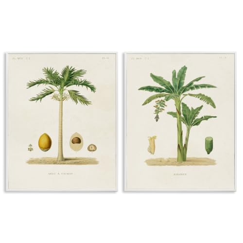 Minimal Palm Tree Coconuts Diagram, 11 x 14 Inch Framed Giclée Print Set