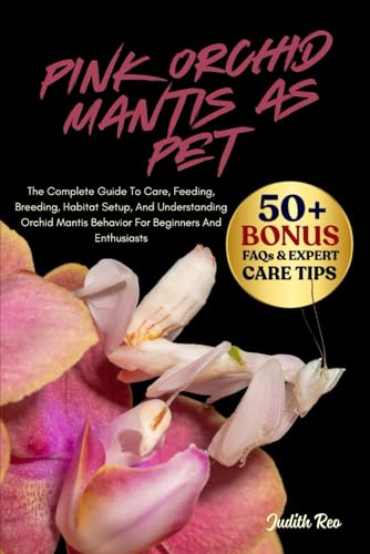 PINK ORCHID MANTIS AS PET: The Complete Guide To Care,