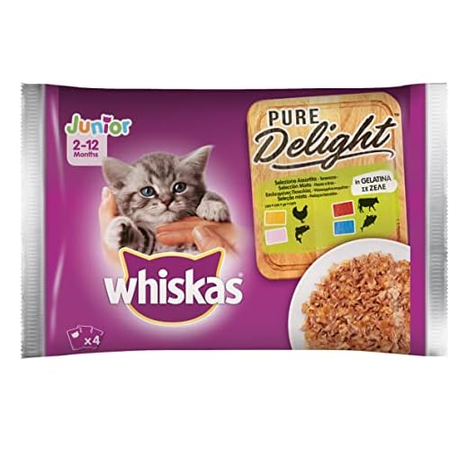 Whiskas Straccetti in Gelatina Delicato Junior, Pollame, Confezione da 4, (4 x 12 x 85 g)