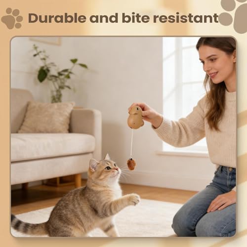 Chats actifs à la maison grâce au teaser électrique rechargeable - 4