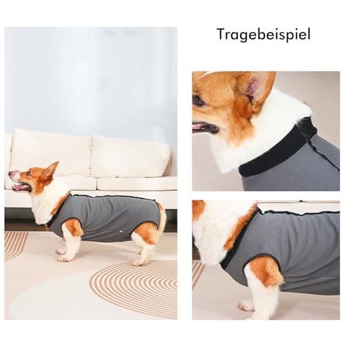 InfiniZer Hundebody Nach Op Hündin Kastration Hündin Rüde Operationsbody Hund Body Nach Op Body Hund Shirt Leckschutz Wundschutzanzug für Hunde Einteiler Schlafanzug (Grau, XL)