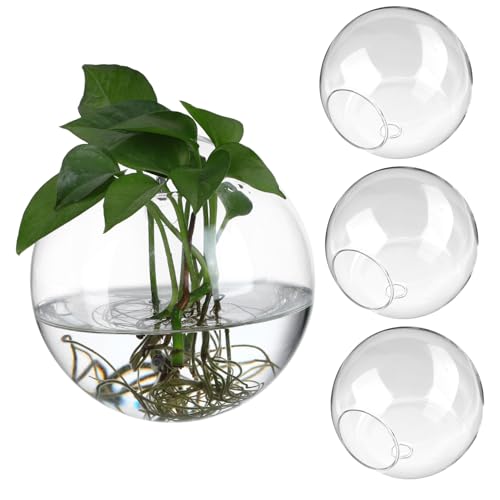 SHINEOFI 4 pièces Pots de Fleurs Muraux Verre Transparent Rond pour Propagation et Décoration Maison Vases Suspendus pour Plantes Hydroponiques et Terrariums...
