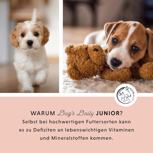 Annimally Dog's Daily Junior - Multivitamin Tabletten für Welpen & Junghunde, Vitamin B Komplex mit Calcium & natürlichen Pflanzenstoffen, 85 Stück