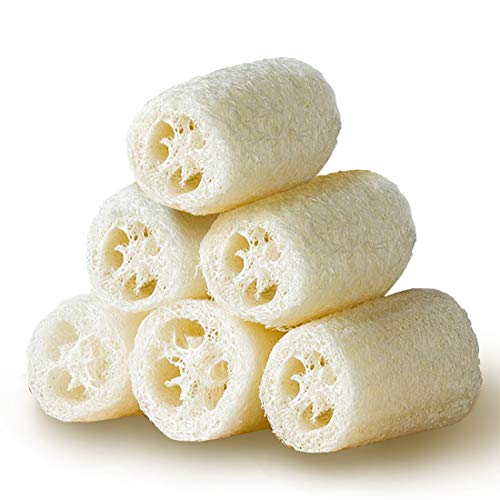 Premium Natural Eco-Friendly Egyptian Shower Loofah Sponge, Large Exfoliating Shower Loofa Body Scrubbers Buff Away Dead Skin for Smoother, More Radiant Appearance (6 lufa Pack)