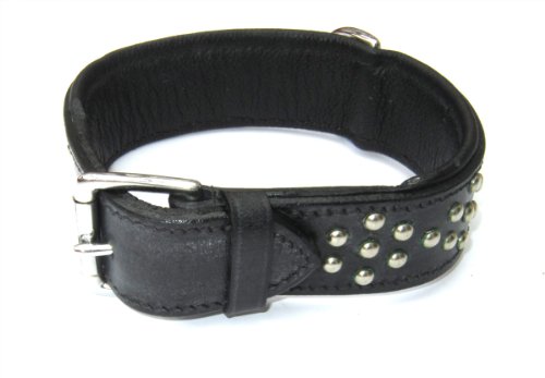 Heim 3886608 Halsband mit Zierbeschlag, 35 mm breit, 60 cm lang, schwarz