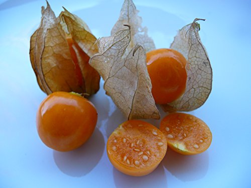 Cemeha Seeds - Cape Gooseberry Goldenberry Groung Cherry Strawberry Orange Physalis Non Gmo Vegetable For Planting #TOP6