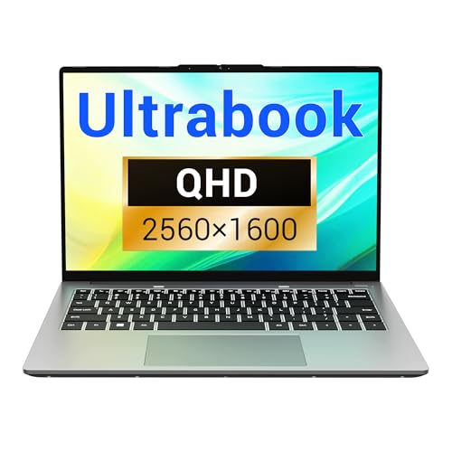 FIREBAT Laptop【2560×1600/DDR5 5600MHz】 A-M-D Ryzen 7 8745HS (Up to 4.9GHz), 14in QHD Ultrabook, PCIe SSD, Backlit Keyboard, Radeon 780M Graphics, Student/Home/Busin... Computer/Grey【U4E】