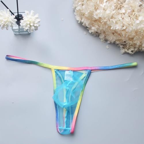 Mens Sexy Mesh Thong Transparent Low Rise G-String Pouch Underpants Stretch T-Back Briefs 2025 Fashion Y2K2