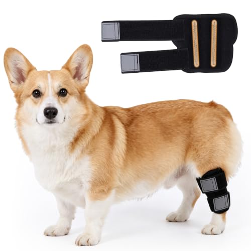 Image of Dog Leg Brace for Back Leg Support Adjustable Hock & Ankle Compression Wrap