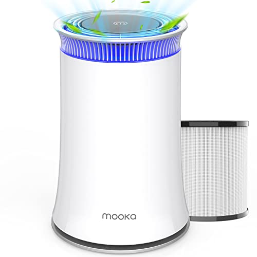 Top 10 Best Air Cleaners San Diego Reviews & Buying Guide Katynel