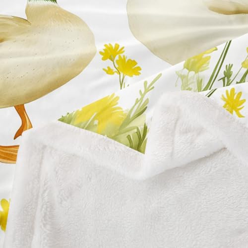 Homemissing Cute Farmhouse Duck Fleece Throw Blanket Single 50x60Inch Kids Duck Animals Plush Blanket for Bed Sofa Couch Boys Teens Daisy Sherpa Blanket Breathable Botanical Floral Blanket Natural - Image 4