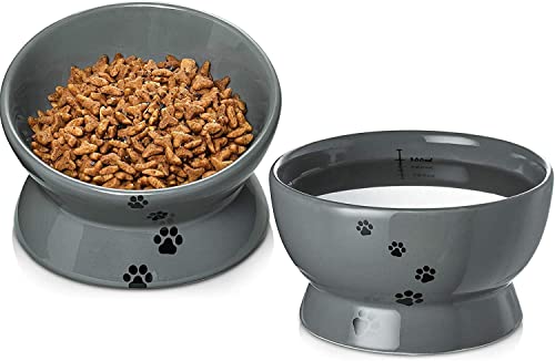 Y YHY - Paquete de 2 Cuencos elevados para Gatos y Agua, Inclinados y elevados, sin derrames, de cerámica, para Perros y Gatos pequeños, Color Gris