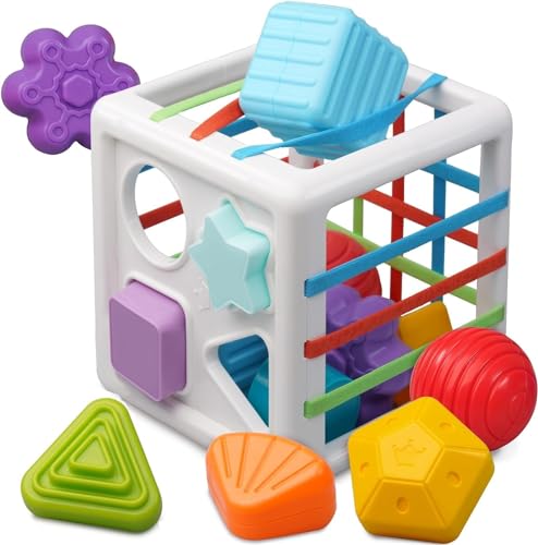 Storite Montessori Toys for 1 Year Old,Baby Sorter Toy Colorful Cube and 10 Pcs Multi Sensory Shape, Toddler Developmental Learning Toys Birthday Gifts,Baby Toys 6-12-18 Months