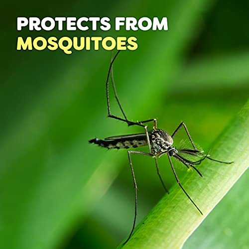 Off Familycare Insect Repellent Clean Feel 6 Oz (2 Pack) #TOP20