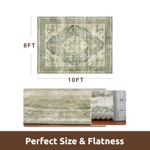 AMOAMI-Area Rug 8X10 Rugs for Living Room-Vintage Soft Green Rugs for Bedroom-Non Slip Carpet-Washable Rug for Dining Room Living Room Bedroom Office Under Table