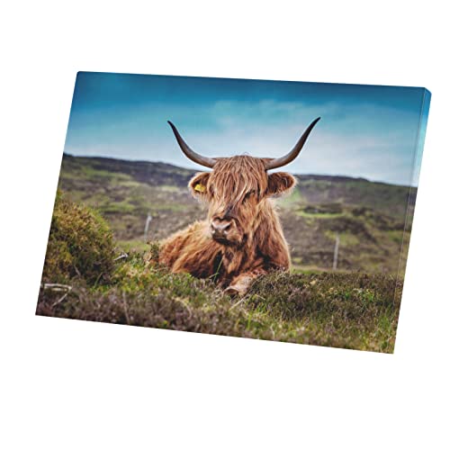 Tableau taureau highland toile imprimée pour s'évader au cœur de la vie sauvage