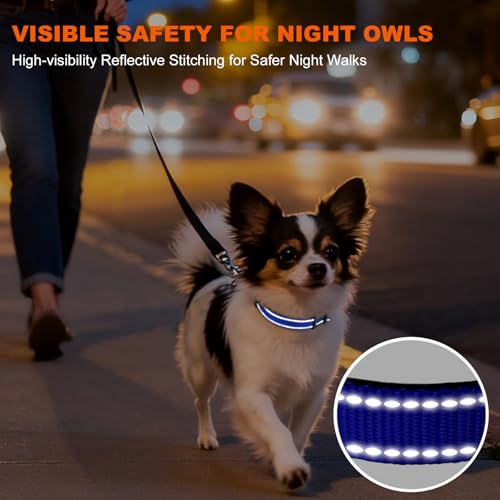 Image of Taglory Reflective Dog Collar for Puppies, Gentle and Safe for Night Walks