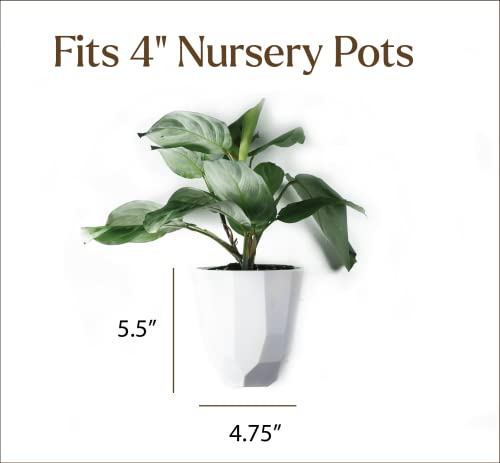 Make Good Virgo Wall Planters (Geometric, Set Of 6) - Easy To Water And Install - Lightweight - Design Your Own Vertical Garden - Melamine Plastic #TOP1