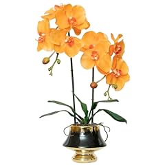 Orange- Black Goldvase