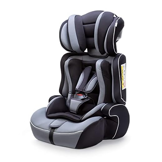 Star Ibaby Silla de Coche con Reductor de Viscofoam, Grupos 1/2/3 - (9 a 36 kg), Color Black Grey