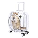 Myuilor Travel Dog Carrier-W1