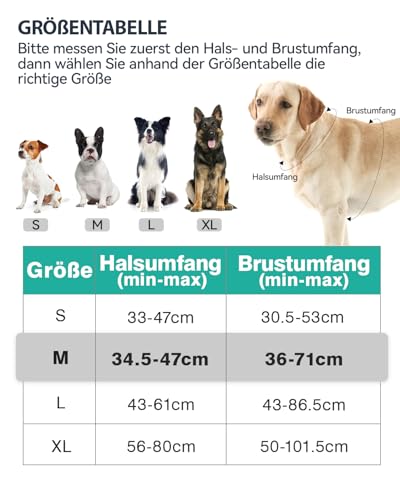 Joytale Hundegeschirr mittelgroße Hunde, reflektierendes Geschirr Hund,luftdurchlässige Hundegeschirr, verstellbares Brustgeschirr mit Griff beim Führen und Training, Türkis, M