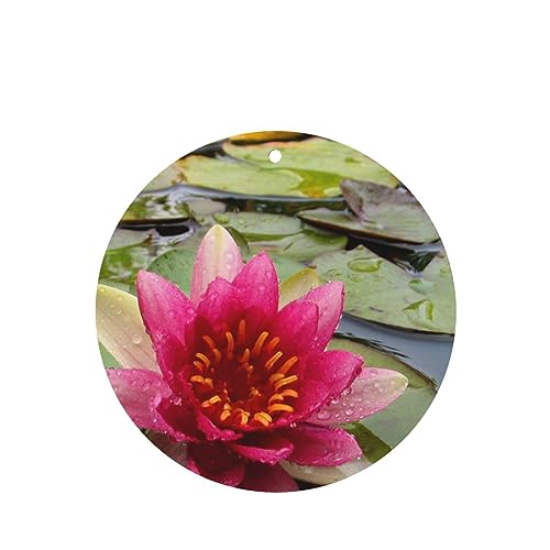 @̉ ԗpF p[\iCYꂽXCX J[A}Zs[^ubg ݂艺F܃J[h [vt 4 ԂƂ̑p