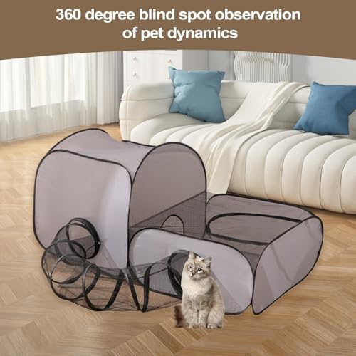 Parque para Gatinhos de Interior | Recinto Para Gatos De Interior De Encerramento Para Animais - Cas