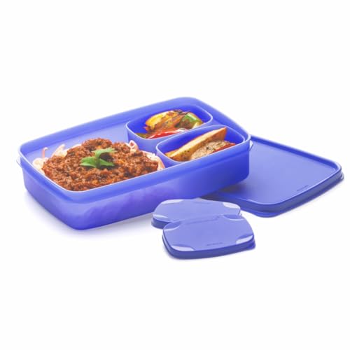 SignoraWare Compact BPA Free Plastic Square Lunch Box | Airtight & Leak Proof | Compact Design | Snacks Container | Best for School & Picnics | Leftov