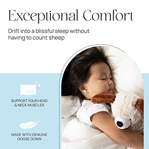 East Coast Bedding Down & Feather Pillow, Luxury Hotel Premium Pillows, King, Queen Size, And Standard Size Down Pillows, Cotton Sateen Shell & 800 Fill Down Pillows, 1 Pillow, Queen Size #TOP1