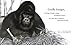 Ape