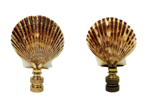 Image of Lamp Finial-SEA Scallop Shell-Natural sea Scallop Shell with Antique Brass or Polished Brass Base (1-pc.) (Polished Brass)