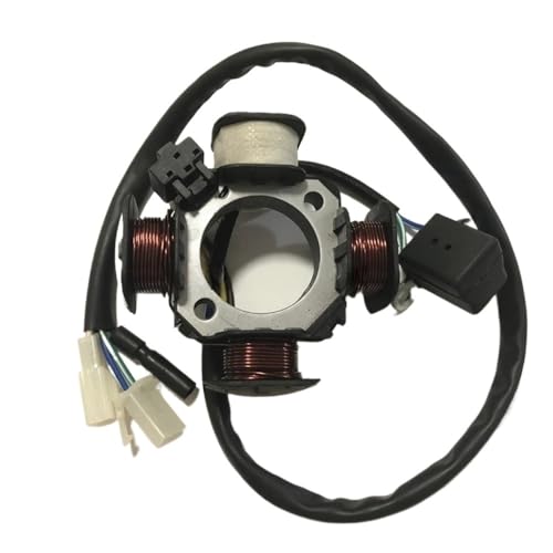 Bobine stator d'allumage pour réparer les pannes de démarrage moto AG100 100cc