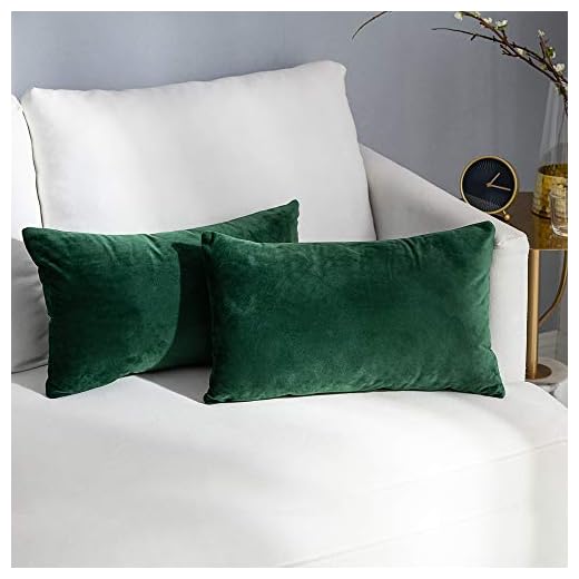 Stellhome Pack of 2 Throw Pillow Covers Rectangle Super Soft Solid Velvet Pillowcase for Bed Couch Sofa Bench, 12 x 20 inch (30 x 50 cm), Olive