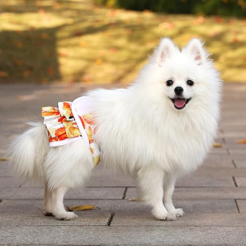 Image of Dog Diapers Washable (3 Pack), Reusable Female Dog Diapers Highly Absorbent for Heat, Incontinence, XS