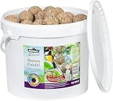Dehner Natura Premium Meisenknödel ohne Netz, Beerenknödel, ganzjähriges Wildvogelfutter proteinreich / energiereich, im Eimer, 100 Stück je 90 g (9 kg)