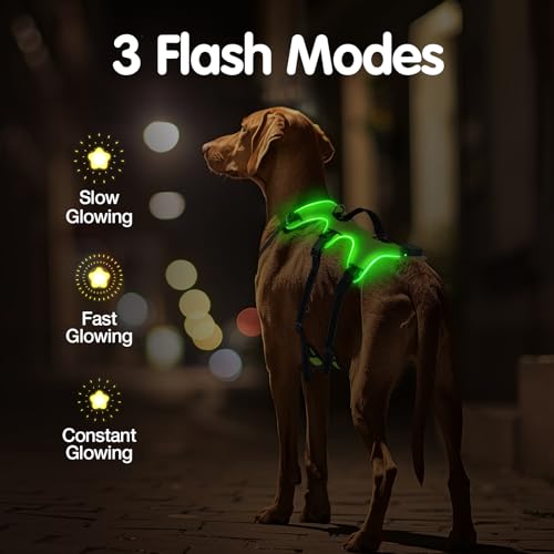 Jewyow Hundegeschirr Leuchtend, Wiederaufladbare LED Hundegeschirr, Led Geschirr für Hunde mit Weicher Griff, 3 Einstellbare Modus, Wasserdicht für Mittelgroße, Große Hund, Green-L