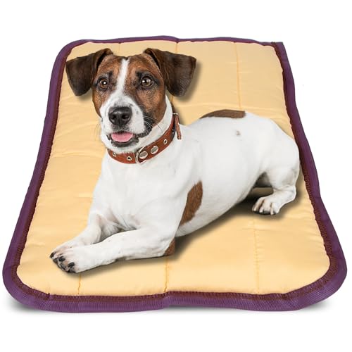 Jeffers Pet Comfort Dog Pillow, Tiny 12