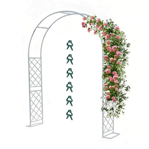 Arco de Jardín Enrejado Pérgolas De Metal pulverizado, 140 180 200 220 310 350 Soporte para Rosas Trepadoras y Exteriores, Resistente Arcos con 6 Clips de fijación para Plantas(Blanco,310x240cm WxH)