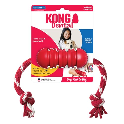 KONG Dental mit Seil - Für die Zahnpflege von Hunden - Befüllbares Kauspielzeug - Reinigt Zähne und Zahnfleisch - Für Mittelgroße Hunde