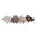 Revlon Colorstay 16hr eyeshadow quad moonlit 4.8g