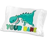 Personalized Cute Dinosaur Boys Pillow Case - ( Toddler - Travel Size 13 x 18 ) Christmas gift Birthday Gift idea for boys kids room decor